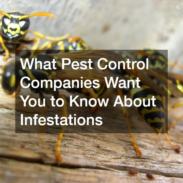 What Pest Control Companies Want You to Know About Infestations